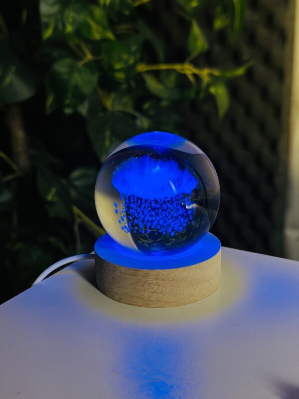 Color Changing LED 3D Crystal Ball – Rain Cloud Price in Bangladesh,