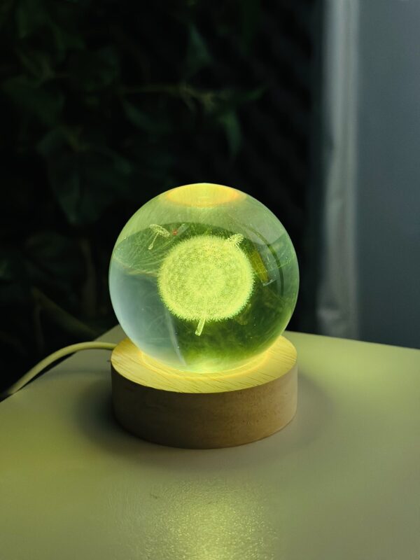 3D Color Changing LED Crystal Ball – Dandelion Price in Bangladesh,